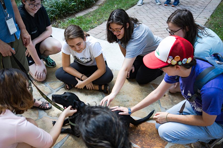 一群学生在校园里抚摸辅助犬